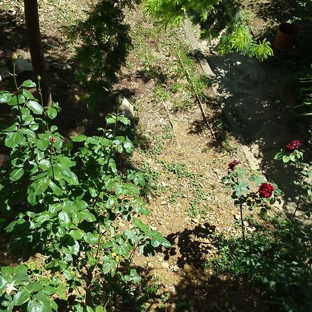 La Villa Nei Fiori フィレンツェ エクステリア 写真