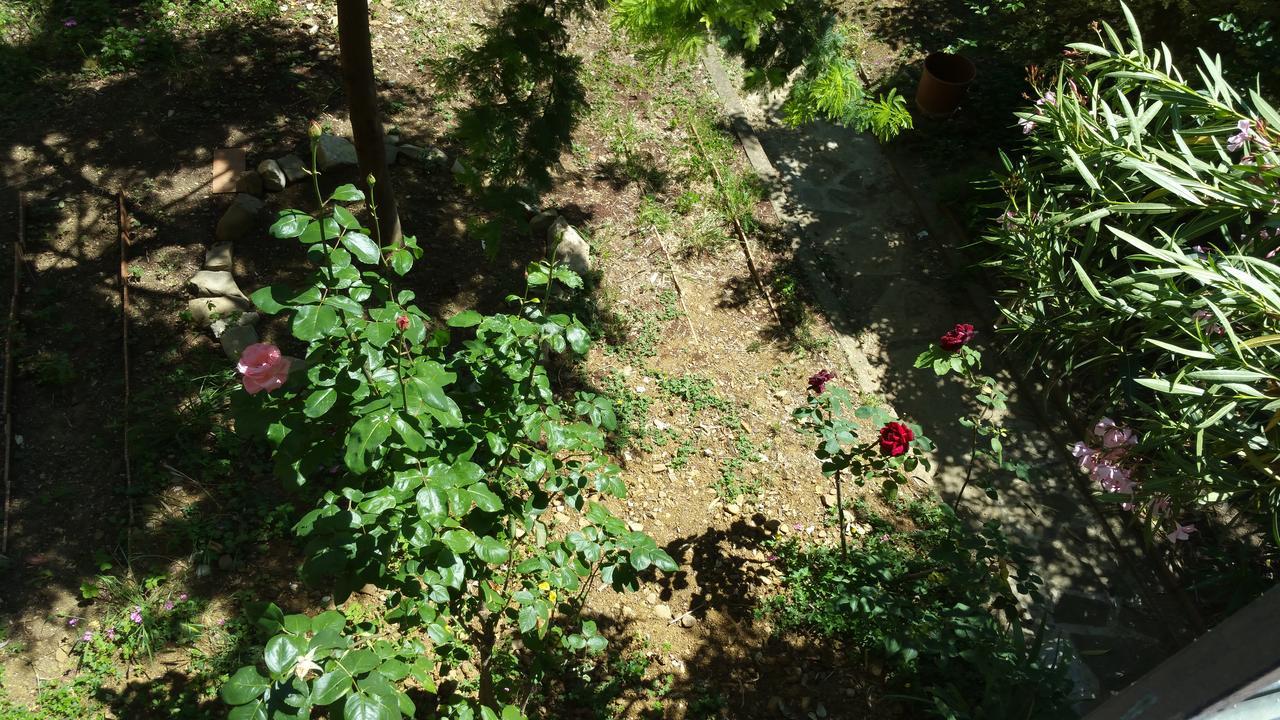 La Villa Nei Fiori フィレンツェ エクステリア 写真